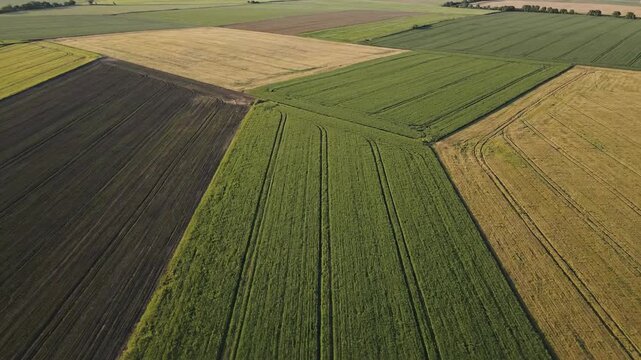 Stunning aerial view of geometric farmland patterns showing different crop stages, perfect for agriculture and environmental documentaries.
