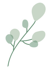 Obraz premium Aesthetic leaf branch png sticker, transparent background
