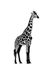 Fototapeta premium Stylized giraffe with distinctive patterned coat, emphasizing its unique appearance