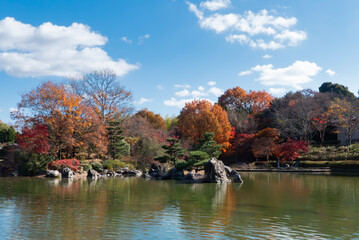 秋の晴れた日の公園　青空に映える美しい紅葉　滋賀県大津市びわこ文化公園　