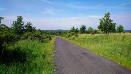 Obraz premium View of a road crossing a wooded meadow on a sunny day
