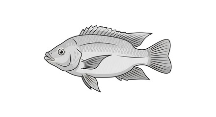 Detailed grayscale vector graphic depicting a freshwater fish, such as a tilapia, an ideal concept for aquatic nature designs, seafood menu illustrations, or wildlife educational materials