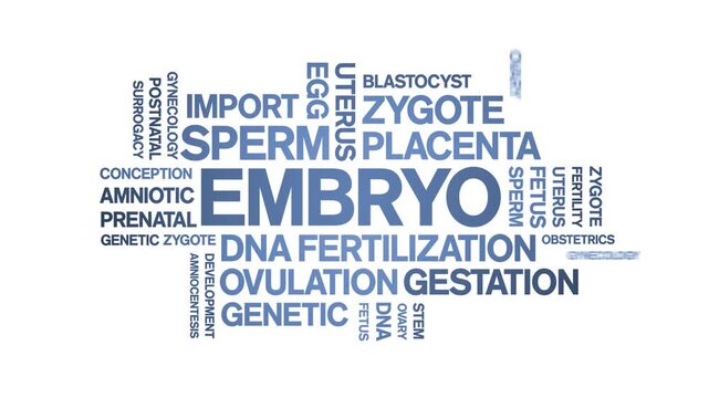 Embryo animated word cloud-text design animation tag kinetic typography seamless loop.