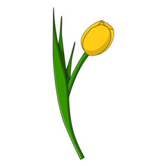 Cartoon Style Yellow Tulip Bud Floral Spring Illustration