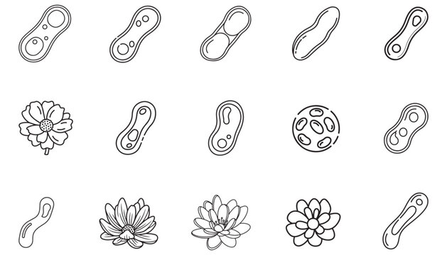 Set of biological cell division and blooming flower icons with simple line art style