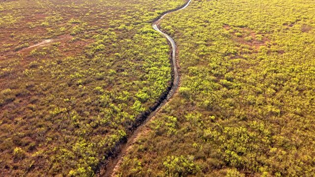 Florida everglades dry river bed aerial video