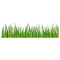 Green Blades of Summer Grass Illustration Graphic