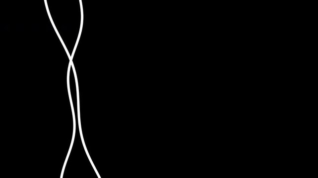 White wavy line animation. White wavy lines dance against a solid black background in graceful motion.