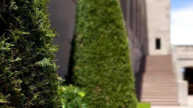 Stone Facade and Manicured Cypress Trees at Australian War Memorial