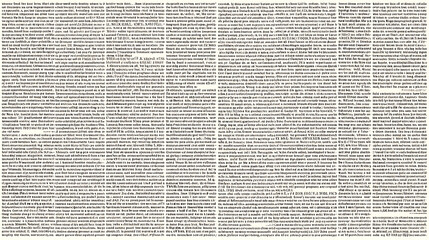 Fototapeta premium Dense Text Blocks on White Background black