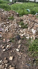 Rubble Pile and Dirt Ground with Sparse Grass