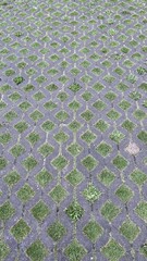 Geometric Paver Path with Grass Inlays in Outdoor Walkway