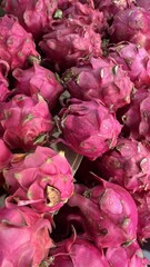 Bright Pink Dragon Fruit Heads Freshly Piled