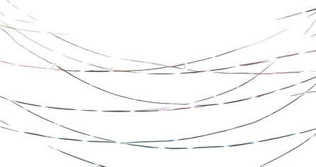 白い背景に透明感のある細い曲線と点線が流れるように描かれた、ミニマルで現代的な抽象デザインのイメージ。