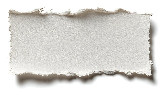 Rough Torn Paper Edge Texture on White Background ripped