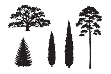 Fototapeta premium Pine, Cypress, Oak, and Spruce tree silhouette set. Detailed conifer and forest plant symbols. Architecture landscape vector collection.