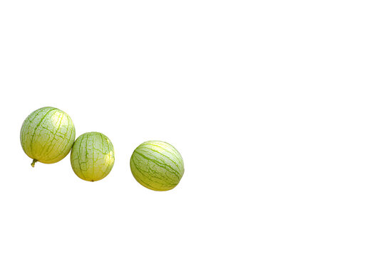 Three fresh winter melon fruits on vine, Benincasa hispida, isolated on transparent background