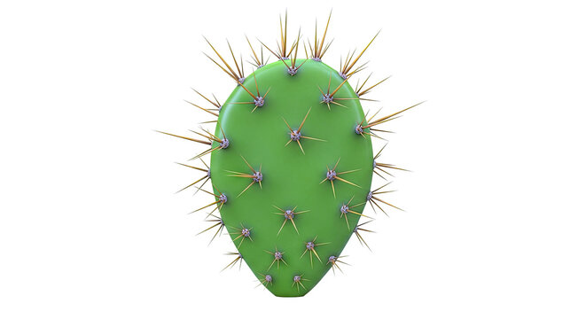 Prickly Pear Cactus Pad with Thorns