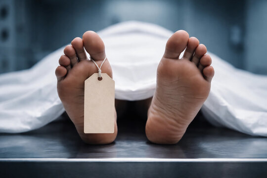 bare feet of a deceased person on a stainless steel morgue table with a blank toe tag and white sheet, symbolizing death, mortality, and forensic investigation.