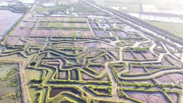 Hongze Lake Wetland Winter 4k Aerial