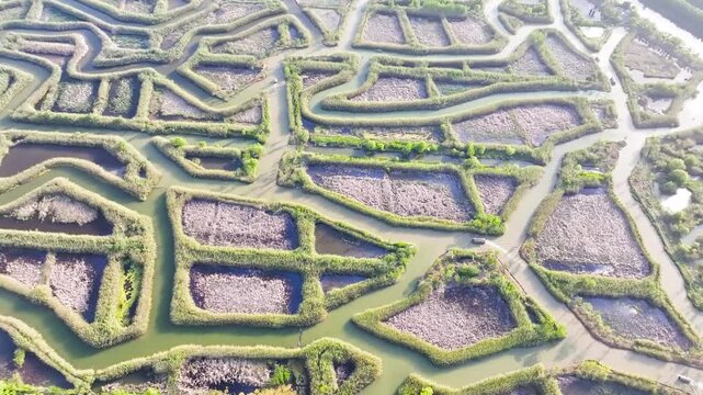 Hongze Lake Wetland Winter 4k Aerial