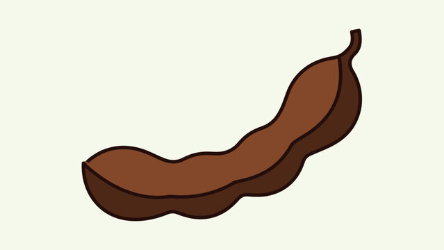 Delicious tropical tamarind fruit pod illustration on a plain background perfect for culinary