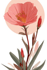 vector illustration of a flower
