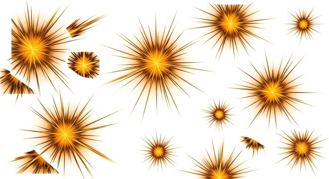 Microscopic view of various sized and shaped radiolarian organisms