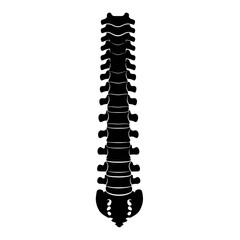 Silhouette of a Human Spine Vertebrae Column Vector Icon Backbone Anatomy Illustration Isolated Black Shape on White Background