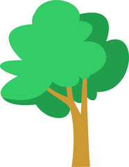 tree, plant, green leaf