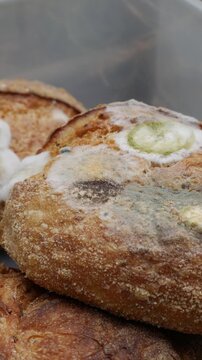 Extreme closeup of fuzzy white and green mold growing on old stale bread crust texture detail macro