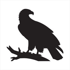 Fototapeta premium Eagle perched on branch Vector, Silhouette, Illustration