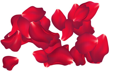 Fototapeta premium rose petals red falling floral background element png
