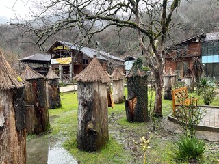 The Honey Yard apiary with unique, antique log hives made from solid logs.