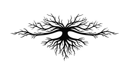 Obraz premium Intricate black tree silhouette with spreading branches and roots on a white background