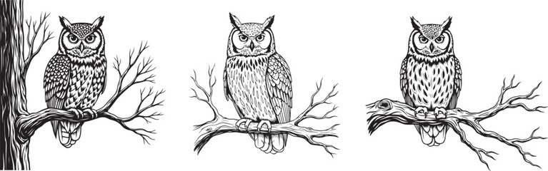 Hand Drawn Owl Sitting on Tree Branch Vintage Engraving Style. Majestic owl perching on a branch in elegant black and white design,