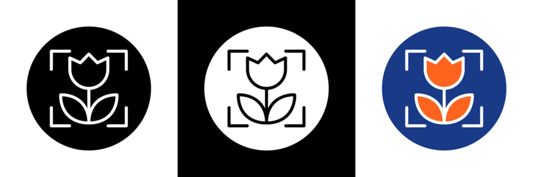 Macro Photo Icon Set Glyph Vector Illustration