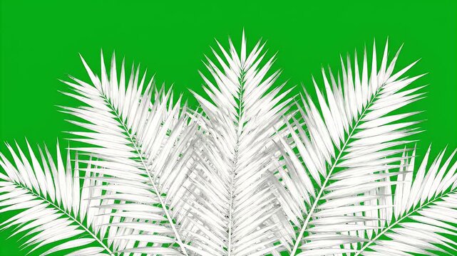Stylized white palm leaves fan out against a vivid green backdrop, evoking a serene tropical atmosphere and natural beauty
