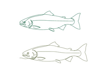 Fototapeta premium Salmon fish illustrated in a single continuous line drawing. Fresh seafood rendered in a linear sketch style on a white surface. Vector illustration.