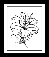 A minimalist black and white line art illustration of a lily flower in a simple frame