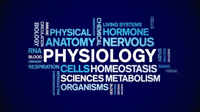 Physiology animated word cloud-text design animation tag kinetic typography seamless loop.