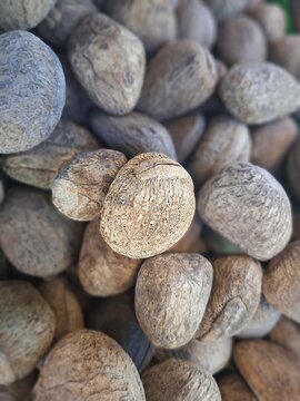 A pile of raw, light beige nuts with a textured surface, identified as kluwek (Pangium edule).  These large, oily nuts are related to macadamia nuts and are a key, traditional spice like Rawon.