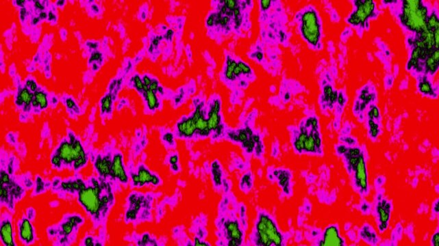 water melon background