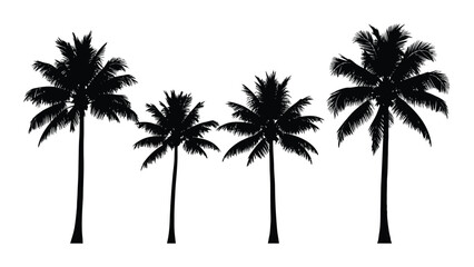Obraz premium Four palm trees silhouetted against a white background Vector