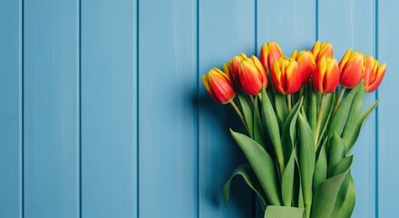 Beautiful bouquet of red and yellow tulips on a blue wooden background.