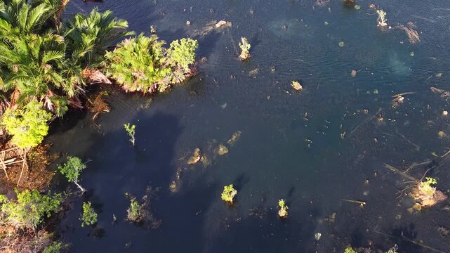 Aerial View of Kayaking in Klong Root Clear Water Canal Thailand