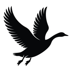 Obraz premium Goose flying with wings spread Vector, Silhouette, Illustration