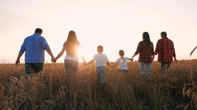 Family friends going at sunset wheat field holding hands together back view. Group of people relatives at harvest meadow weekend unity support togetherness cooperation friendship and bonding