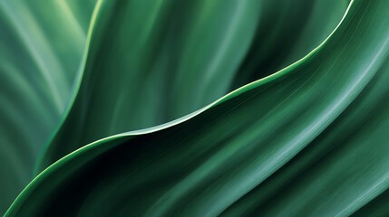 Obraz premium Deep Green Abstract Leaf Swirl Background graphic design