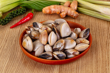Raw fresh wild clams mollusc © Andrei Starostin